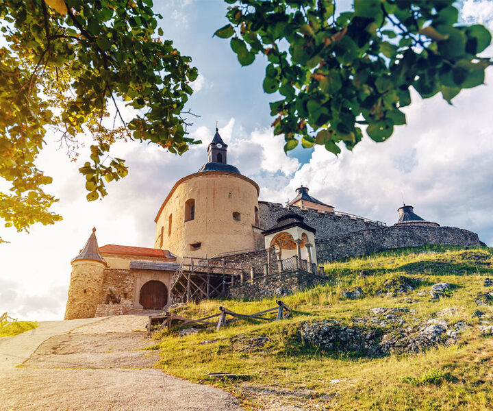 Slovakya Vizesi