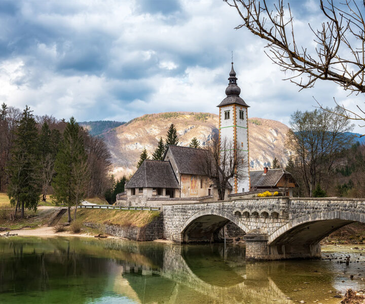 Slovenya Vizesi